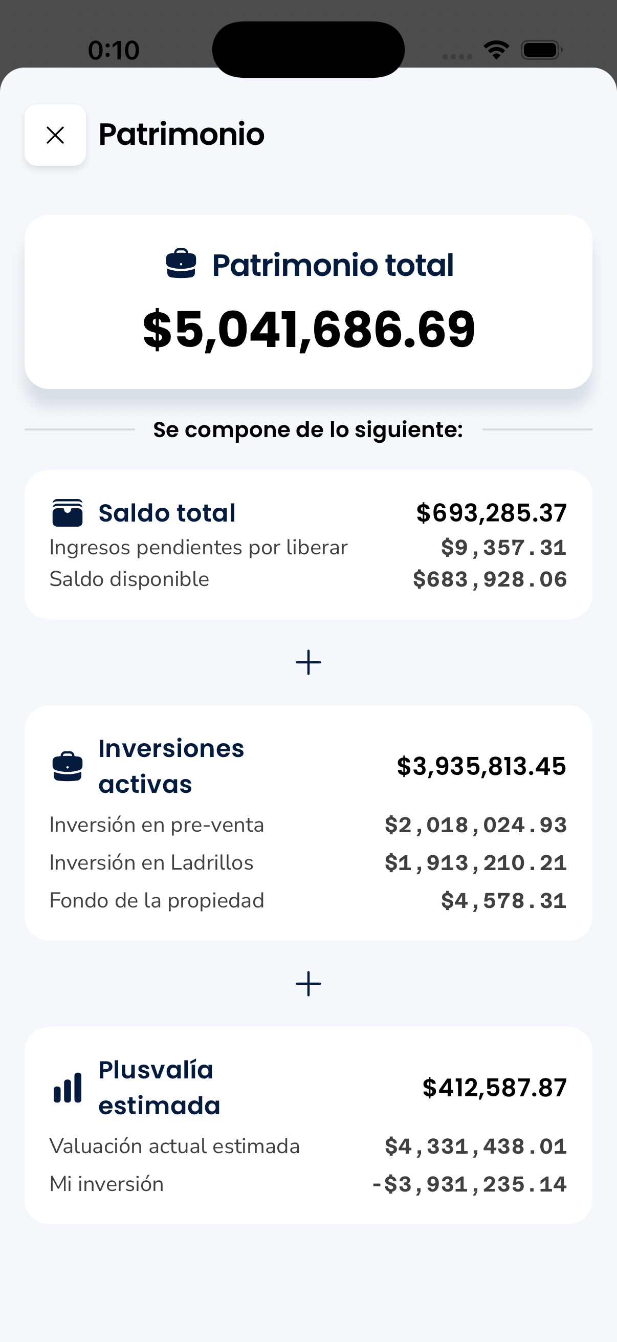 100 Ladrillos — Wealth breakdown